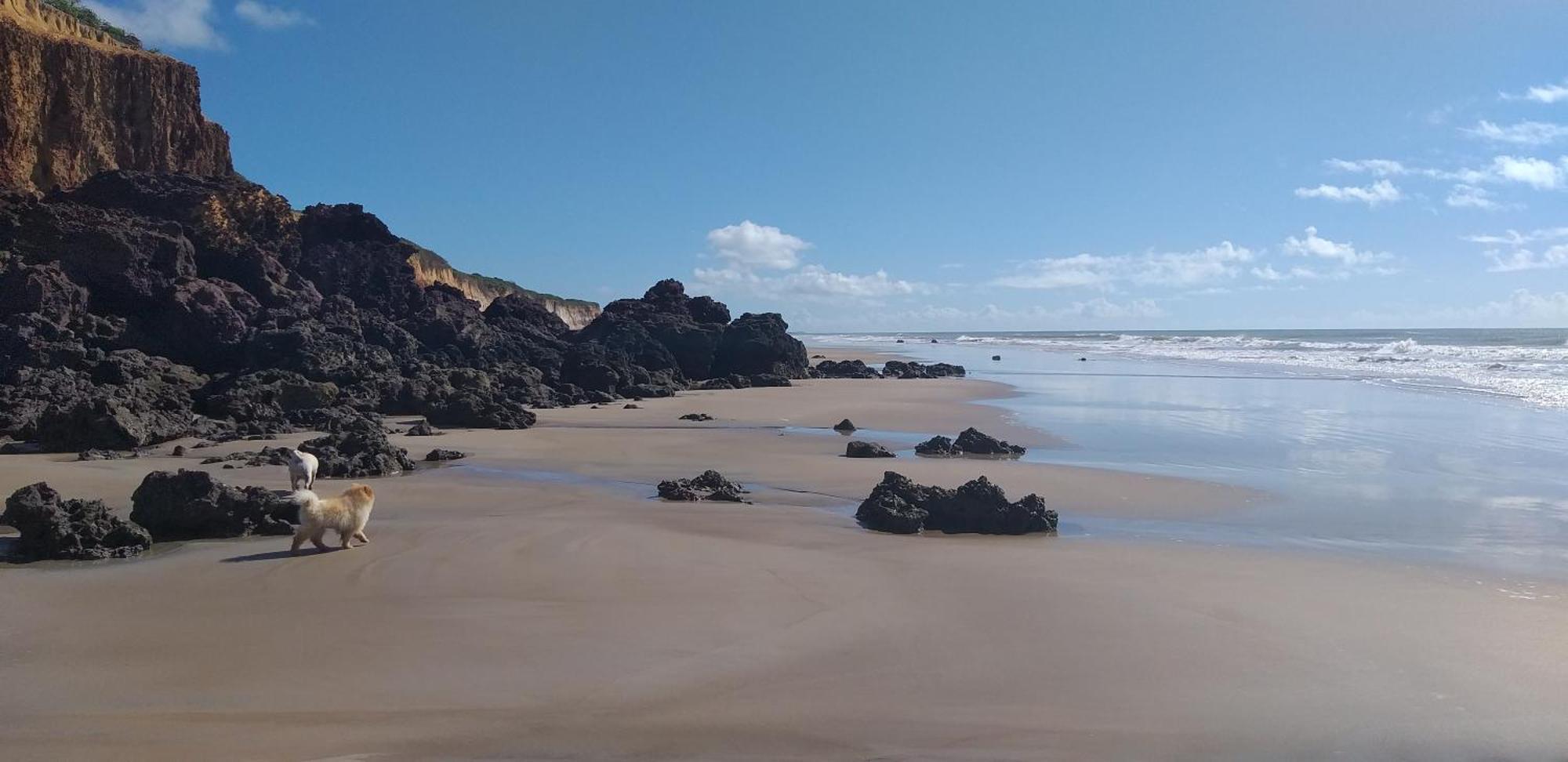 Casa Na Praia Com Piscina Costa Dourada Oda fotoğraf
